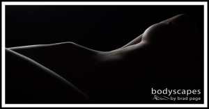 BOS115 - Dividing Lines