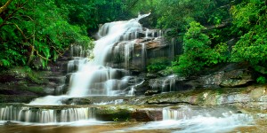 NSW104---Somersby-Falls