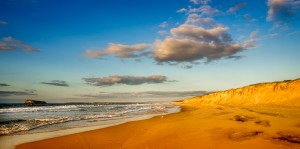 NSW105-Birdie-Beach