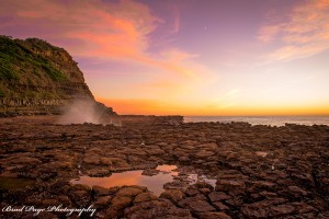 NSW134_Morning Spray_North Avoca Beach