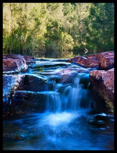 WA101_Fern_Pools_Karinjini_NP