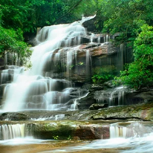Somersby Falls - NSW 102 - Brad Page Photography