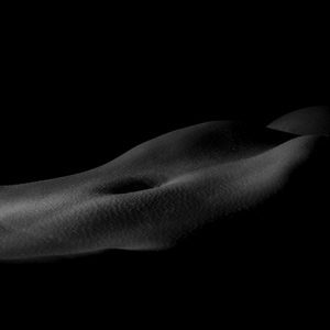 BOS104 Moonlight Bodyscape Brad Page Photography