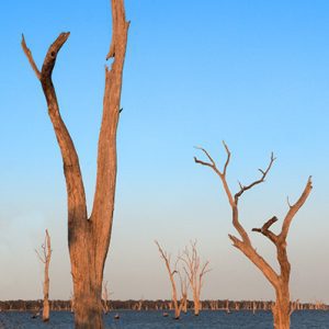 The Murray River - NSW 110 - Brad Page Photography